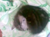 Файл=18072008071.jpg
Объём=330KB
Размеры=2048x1536
Дата=Июль 20, 2008 18072008071.jpg