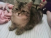 Файл=DSC00157.JPG
Объём=16KB
Размеры=320x240
Дата=Янв 19, 2010 DSC00157.JPG