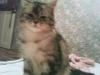 Файл=DSC00163.JPG
Объём=16KB
Размеры=320x240
Дата=Янв 19, 2010 DSC00163.JPG