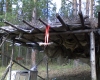 Файл=DSC00113.JPG
Объём=442KB
Размеры=1280x1024
Дата=Май 28, 2009 DSC00113.JPG
