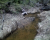 Файл=DSC00120.JPG
Объём=518KB
Размеры=1280x1024
Дата=Май 28, 2009 DSC00120.JPG