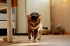 Файл=DSC_0007.JPG
Объём=10206KB
Размеры=4928x3264
Дата=Июнь 18, 2012 DSC_0007.JPG