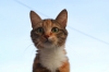 Файл=DSC_0196.JPG
Объём=7887KB
Размеры=4928x3264
Дата=Июнь 20, 2012 DSC_0196.JPG