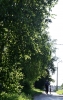 Файл=DSC_0310.JPG
Объём=11186KB
Размеры=3121x4894
Дата=Июнь 19, 2012 DSC_0310.JPG