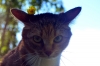 Файл=DSC_0327.JPG
Объём=360KB
Размеры=800x530
Дата=Июнь 20, 2012 DSC_0327.JPG