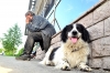 Файл=DSC_0536.JPG
Объём=9499KB
Размеры=4928x3264
Дата=Июнь 18, 2012 DSC_0536.JPG