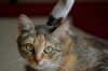 Файл=DSC_2063.JPG
Объём=370KB
Размеры=800x530
Дата=Июль 01, 2012 DSC_2063.JPG