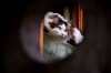 Файл=DSC_2155.JPG
Объём=286KB
Размеры=800x530
Дата=Июль 01, 2012 DSC_2155.JPG