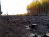 Файл=25102010538.jpg
Объём=809KB
Размеры=2048x1536
Дата=Окт 25, 2010 25102010538.jpg