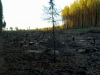 Файл=25102010539.jpg
Объём=753KB
Размеры=2048x1536
Дата=Окт 25, 2010 25102010539.jpg