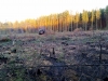 Файл=25102010540.jpg
Объём=963KB
Размеры=2048x1536
Дата=Окт 25, 2010 25102010540.jpg