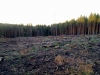 Файл=25102010543.jpg
Объём=762KB
Размеры=2048x1536
Дата=Окт 25, 2010 25102010543.jpg