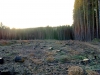 Файл=25102010545.jpg
Объём=741KB
Размеры=2048x1536
Дата=Окт 25, 2010 25102010545.jpg