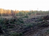 Файл=25102010546.jpg
Объём=680KB
Размеры=2048x1536
Дата=Окт 25, 2010 25102010546.jpg