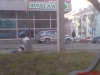 Файл=DSC00458.jpg
Объём=193KB
Размеры=1280x960
Дата=Нояб 25, 2010 DSC00458.jpg
