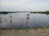 Файл=IMG_0582.jpg
Объём=203KB
Размеры=1063x797
Дата=Июнь 10, 2009 IMG_0582.jpg