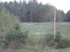Файл=IMG_0337.jpg
Объём=97KB
Размеры=1024x768
Дата=Июнь 06, 2009 IMG_0337.jpg