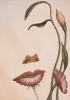 Octavio_Ocampo_Mouth-of-Flower-dp.jpg