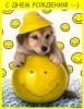 Файл=1002441176_.jpg
Объём=41KB
Размеры=400x514
Дата=Июнь 04, 2010 1002441176_.jpg