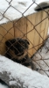 Файл=20140109_114441.jpg
Объём=890KB
Размеры=1836x3264
Дата=Янв 09, 2014 20140109_114441.jpg