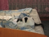 Файл=34~0.jpg
Объём=207KB
Размеры=1024x768
Дата=Фев 17, 2014 34~0.jpg