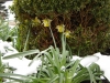 DSC00520.JPG