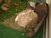 Файл=DSC02646.JPG
Объём=366KB
Размеры=1024x768
Дата=Апр 11, 2012 DSC02646.JPG