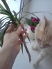 Файл=P051112_1610.jpg
Объём=173KB
Размеры=960x1280
Дата=Нояб 05, 2012 P051112_1610.jpg
