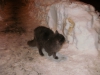 Файл=P1170014.JPG
Объём=491KB
Размеры=1600x1200
Дата=Нояб 04, 2014 P1170014.JPG