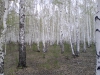 P200513_1622[01].jpg