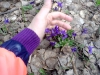 Файл=P200513_1627.jpg
Объём=286KB
Размеры=1280x960
Дата=Май 22, 2013 P200513_1627.jpg