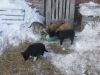 Файл=P2020667.JPG
Объём=435KB
Размеры=1600x1200
Дата=Фев 02, 2014 P2020667.JPG