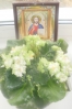 Файл=P4040333.JPG
Объём=226KB
Размеры=576x872
Дата=Апр 23, 2012 P4040333.JPG