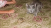Файл=P6300032.JPG
Объём=207KB
Размеры=1024x576
Дата=Авг 25, 2012 P6300032.JPG