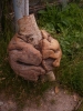 Файл=P7200030.jpg
Объём=68KB
Размеры=450x600
Дата=Июль 22, 2010 P7200030.jpg