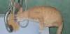 Файл=P8200057.JPG
Объём=135KB
Размеры=1024x504
Дата=Авг 25, 2012 P8200057.JPG