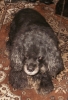 Файл=PA070172.jpg
Объём=103KB
Размеры=500x731
Дата=Окт 07, 2010 PA070172.jpg