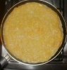 PB170153.JPG