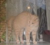 Файл=PB280157.JPG
Объём=135KB
Размеры=845x768
Дата=Нояб 28, 2012 PB280157.JPG