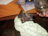 Файл=PB290220.JPG
Объём=3193KB
Размеры=3968x2976
Дата=Дек 04, 2010 PB290220.JPG