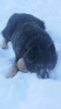 Файл=PC210490.JPG
Объём=600KB
Размеры=1080x1920
Дата=Дек 21, 2013 PC210490.JPG