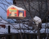 Файл=PC250243.jpg
Объём=49KB
Размеры=800x638
Дата=Янв 01, 2011 PC250243.jpg