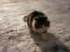 Файл=SANY3956.JPG
Объём=866KB
Размеры=2048x1536
Дата=Март 02, 2014 SANY3956.JPG