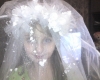 Файл=img251.jpg
Объём=144KB
Размеры=1280x1024
Дата=Дек 06, 2009 img251.jpg