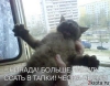 Файл=x_324387d3.jpg
Объём=42KB
Размеры=550x429
Дата=Янв 05, 2010 x_324387d3.jpg
