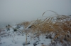 Файл=спуск3.JPG
Объём=175KB
Размеры=800x531
Дата=Окт 16, 2010 спуск3.JPG