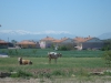 Файл=DSC02576.jpg
Объём=288KB
Размеры=1024x768
Дата=Май 23, 2013 DSC02576.jpg