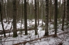 DSC_0021_-_.JPG