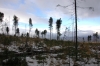Файл=DSC_0044~0.JPG
Объём=347KB
Размеры=1024x680
Дата=Нояб 06, 2012 DSC_0044~0.JPG
