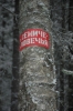 Файл=DSC_0099.JPG
Объём=356KB
Размеры=680x1024
Дата=Нояб 06, 2012 DSC_0099.JPG